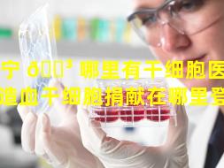 南宁 🐳 哪里有干细胞医院（南宁造血干细胞捐献在哪里登记）